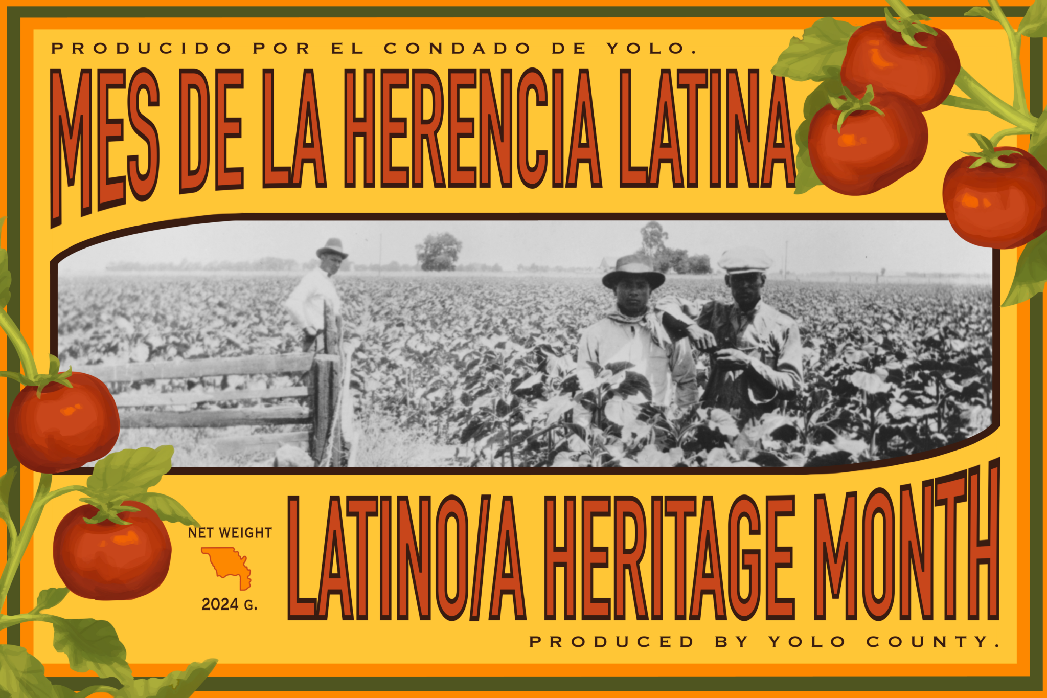 Producido por el Condado de Yolo Mes de la herencia latina. Latino/a Heritage Month. Produced by Yolo County, Black and white image of farmworkers in a field of sunflowers.