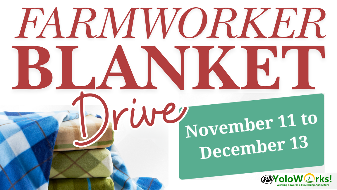 Farmworker Blanket Drive November 11 to December 13 text with a photo of blankets