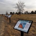 Picture of a park with an open field and one large tree. Along the trail are sign markers. The closest one has the number '1' and says "Story Trail".