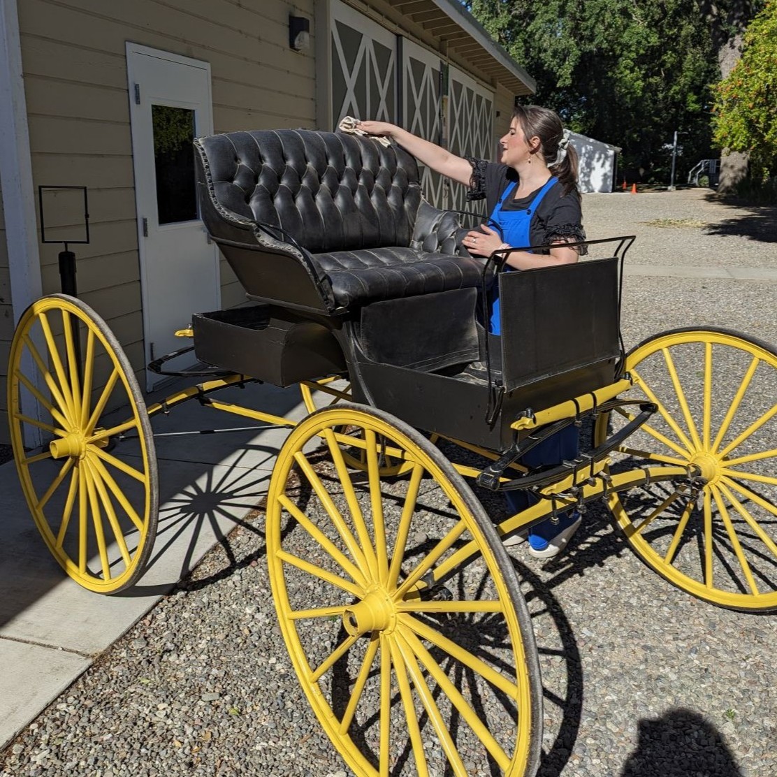 Cleaning a buggy in the Yolo County Historical Collection